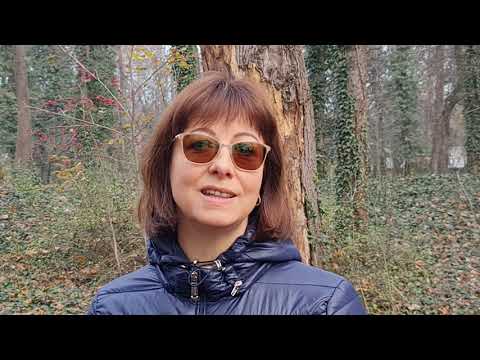 Marta Dobo najavljuje vađenje osušenih stabala